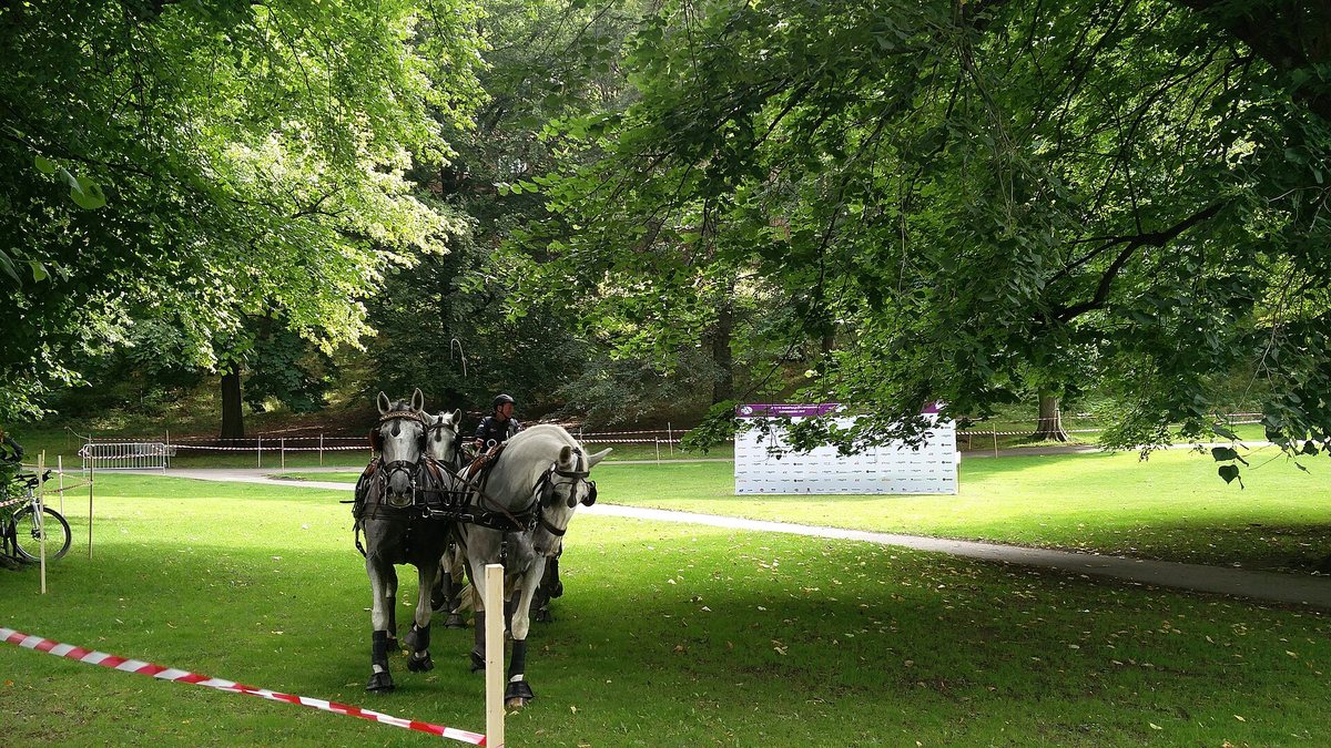 Equestrian - Dressage