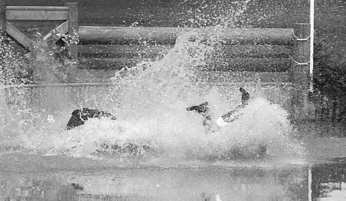 Equestrian - Eventing