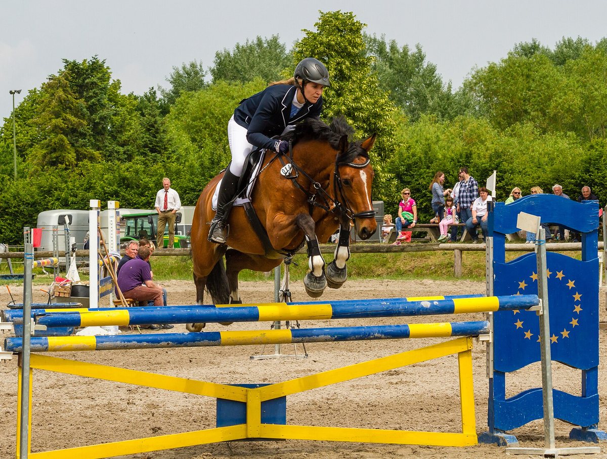Equestrian - Jumping
